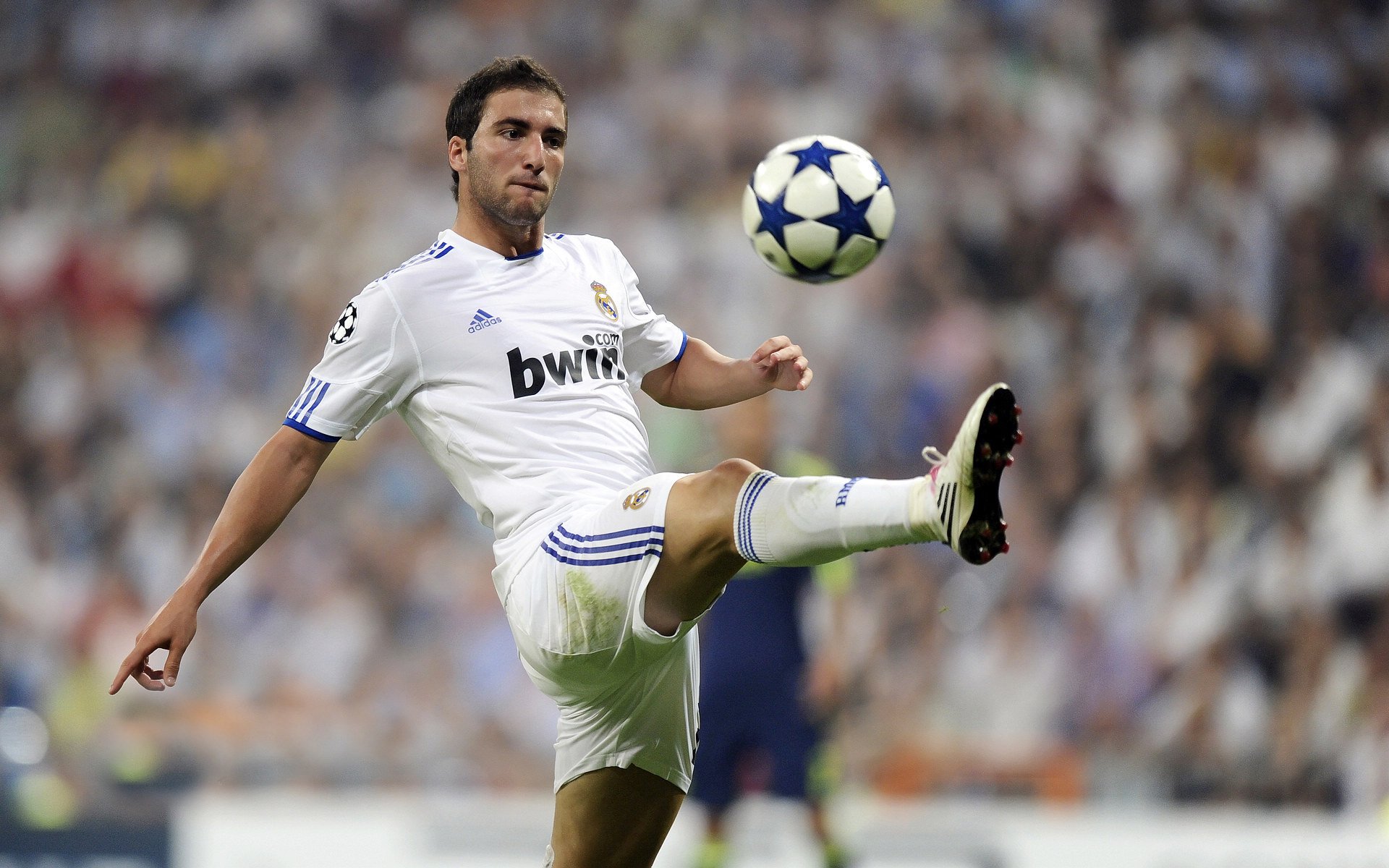 国际马术公开赛首次落地成都，国际马术大师赛